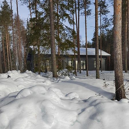 Norvalisma Villa Rovaniemi Ngoại thất bức ảnh