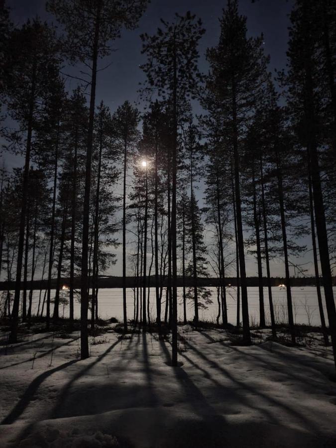 Norvalisma Villa Rovaniemi Ngoại thất bức ảnh