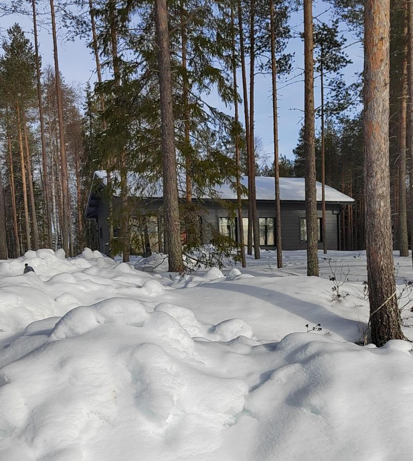 Norvalisma Villa Rovaniemi Ngoại thất bức ảnh