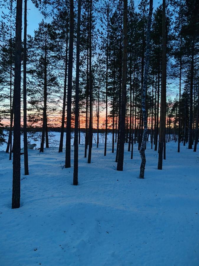 Norvalisma Villa Rovaniemi Ngoại thất bức ảnh