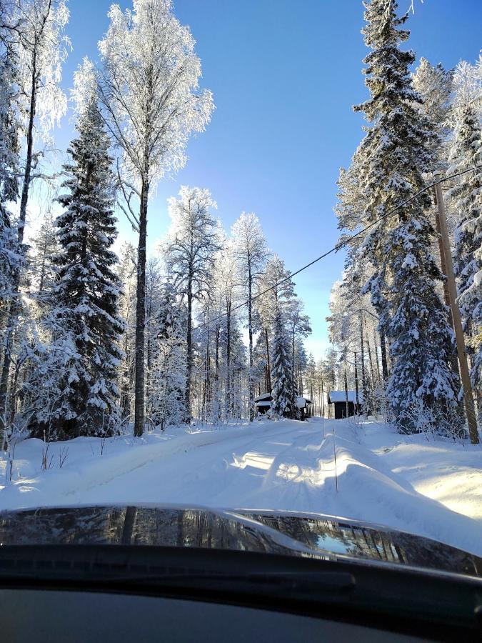 Norvalisma Villa Rovaniemi Ngoại thất bức ảnh